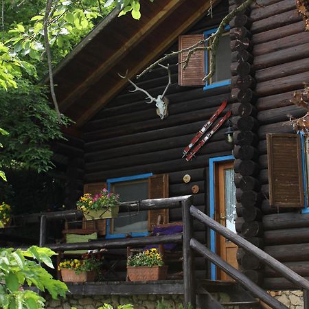 B&B Le Corone - Chalet Nel Bosco Cavalo Dış mekan fotoğraf