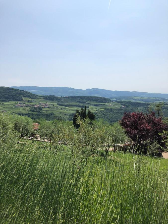 B&B Le Corone - Chalet Nel Bosco Cavalo Dış mekan fotoğraf