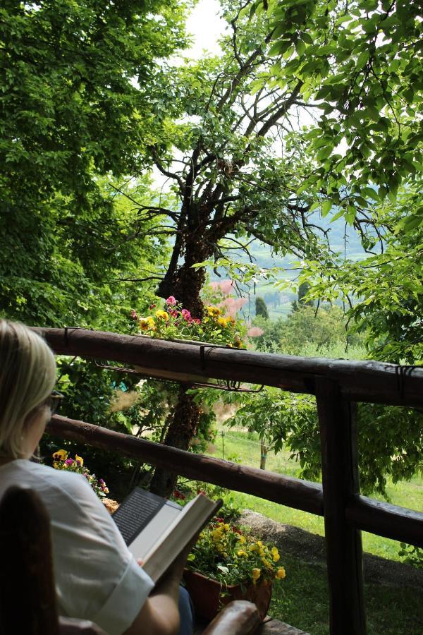 B&B Le Corone - Chalet Nel Bosco Cavalo Dış mekan fotoğraf