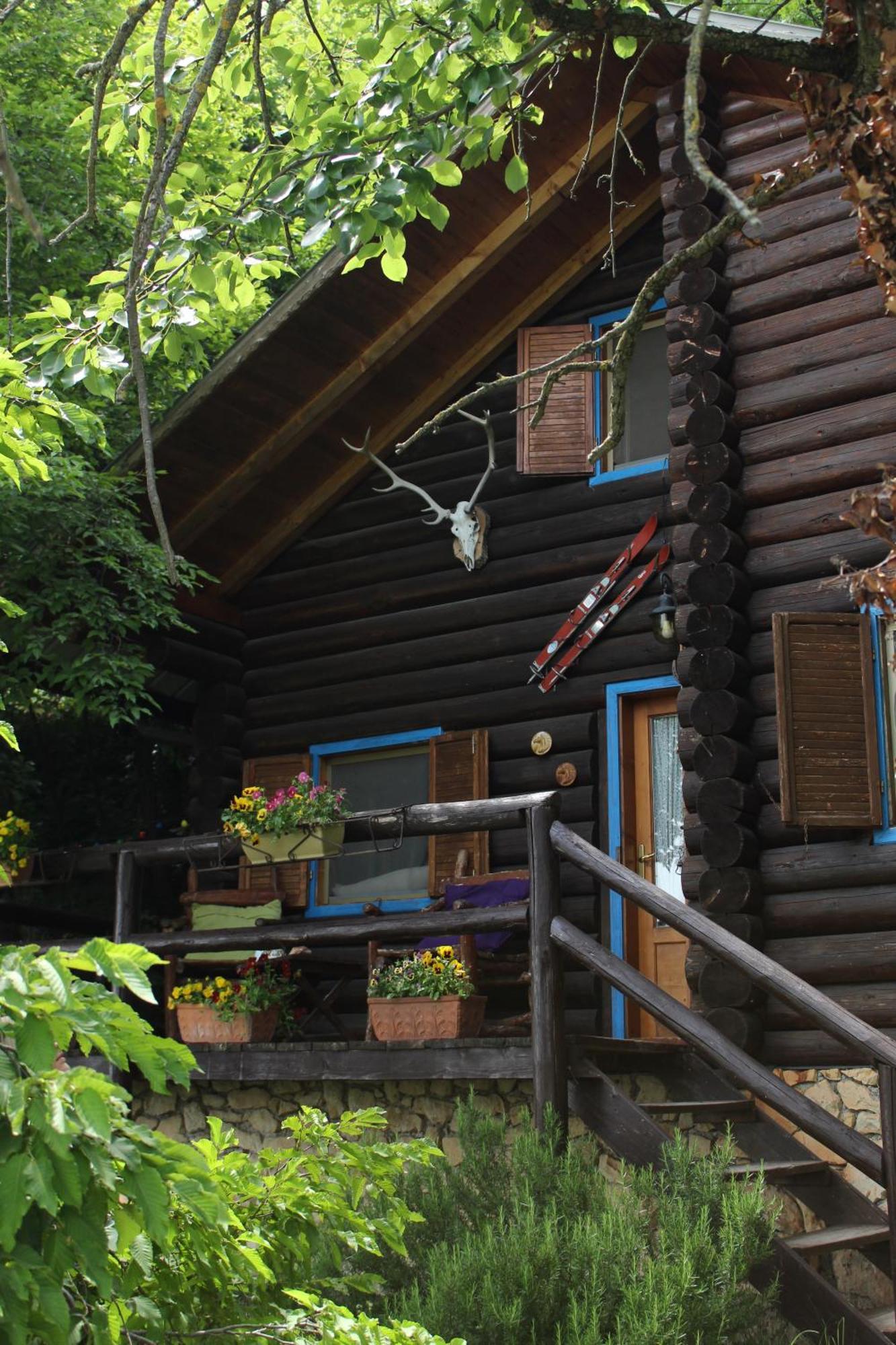 B&B Le Corone - Chalet Nel Bosco Cavalo Dış mekan fotoğraf
