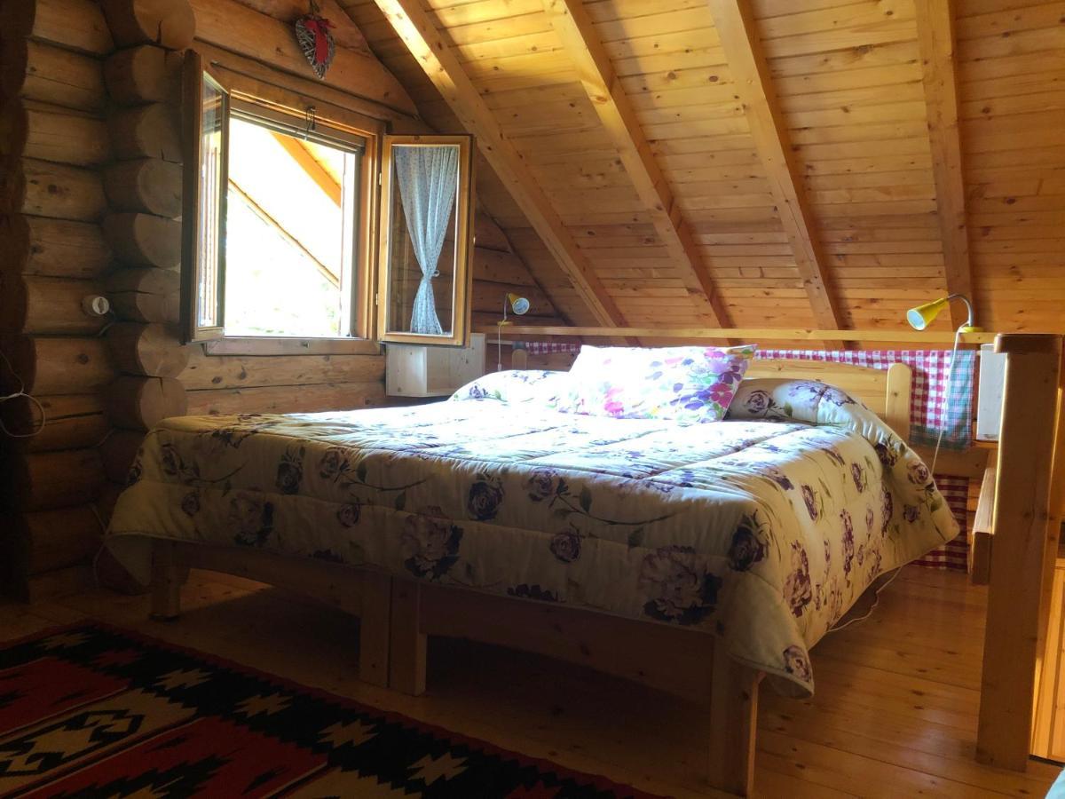 B&B Le Corone - Chalet Nel Bosco Cavalo Dış mekan fotoğraf