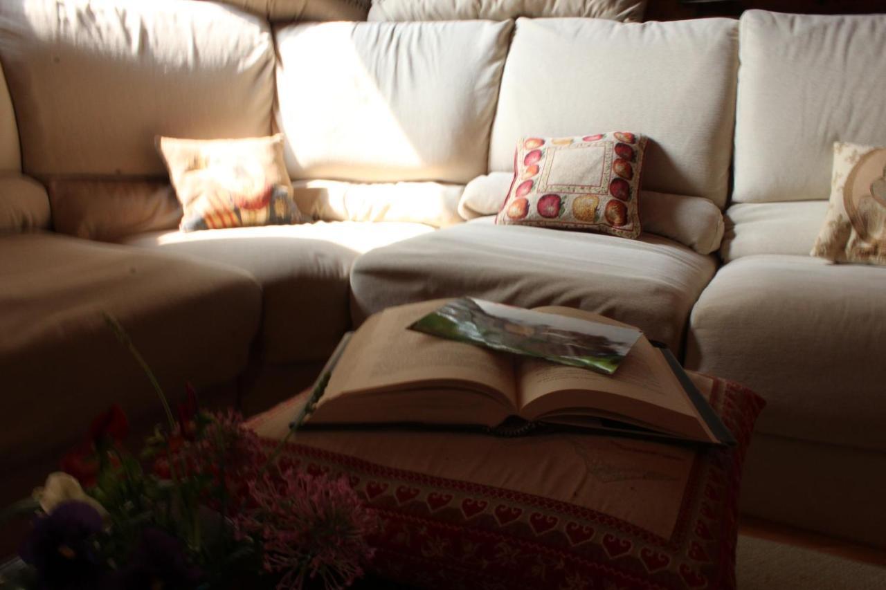 B&B Le Corone - Chalet Nel Bosco Cavalo Dış mekan fotoğraf