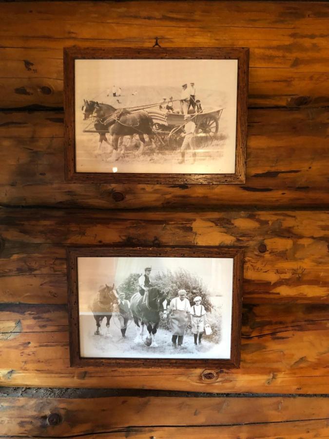 B&B Le Corone - Chalet Nel Bosco Cavalo Dış mekan fotoğraf