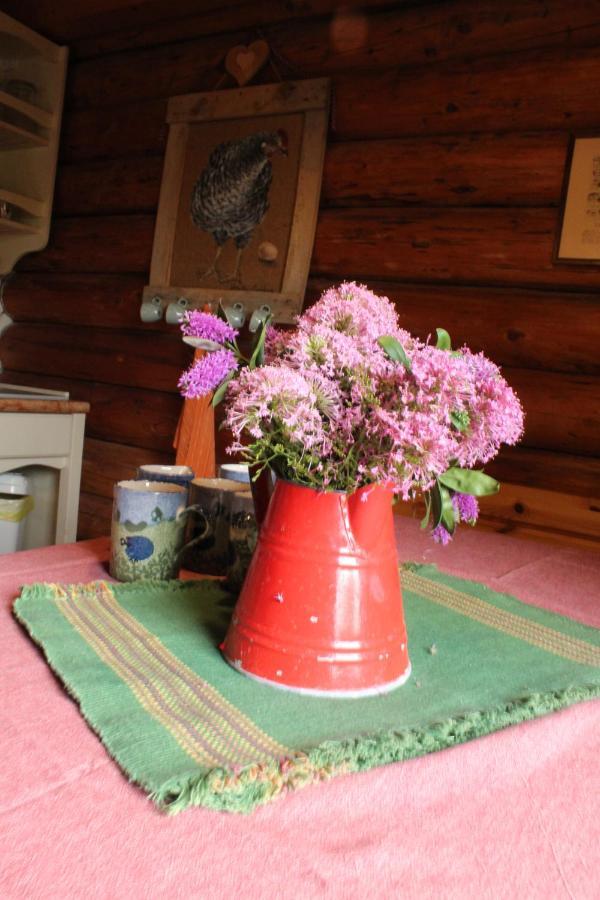 B&B Le Corone - Chalet Nel Bosco Cavalo Dış mekan fotoğraf