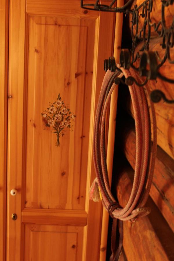 B&B Le Corone - Chalet Nel Bosco Cavalo Dış mekan fotoğraf