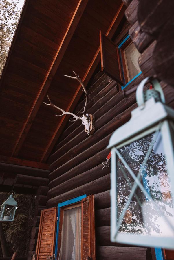 B&B Le Corone - Chalet Nel Bosco Cavalo Dış mekan fotoğraf