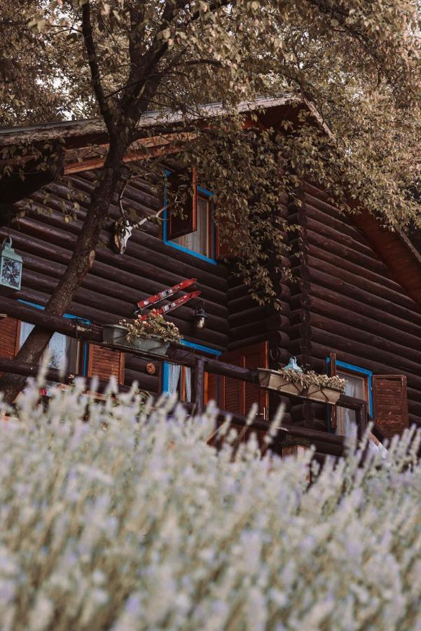 B&B Le Corone - Chalet Nel Bosco Cavalo Dış mekan fotoğraf