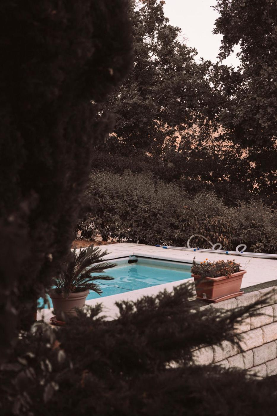 B&B Le Corone - Chalet Nel Bosco Cavalo Dış mekan fotoğraf